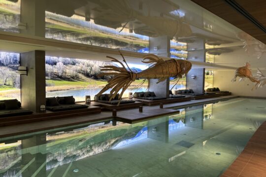 Photo piscine intérieure géante résidence Atmosphère 1850 à Courchevel. Décoration haut de gamme, luxe.