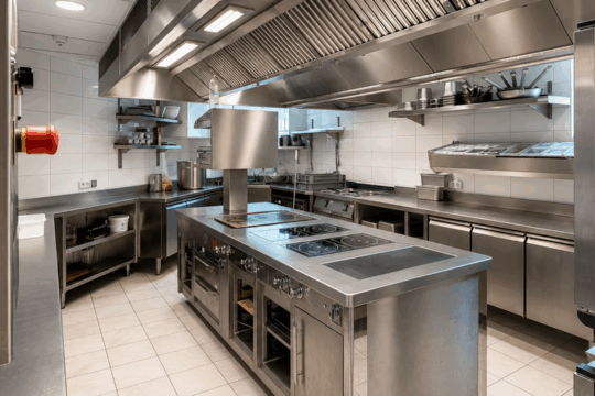 cuisine professionnelle le fauve restaurant annecy