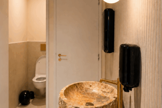 sanitaire restaurant le fauve annecy